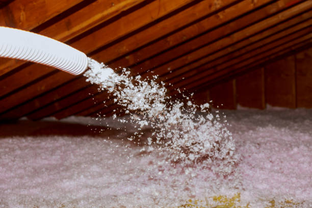 Best Attic Insulation Installation  in Hilltop, SC