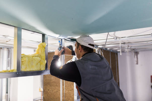 Best Professional Insulation Contractor  in Hilltop, SC