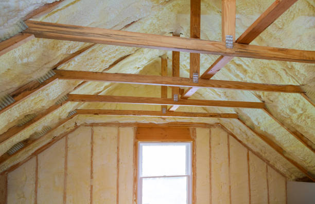Best Insulation Removal  in Hilltop, SC