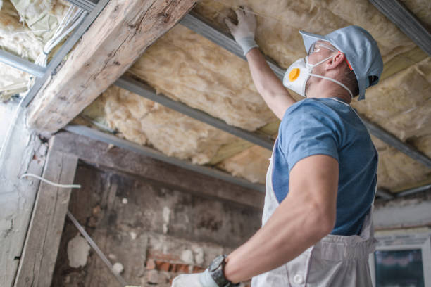 Best Garage Insulation Installation  in Hilltop, SC