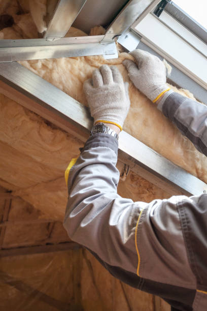 Best Cellulose Insulation  in Hilltop, SC